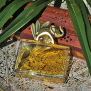 kenzo elephant fragrantica