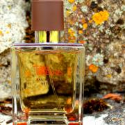 Fragrantica hotsell hermes terre