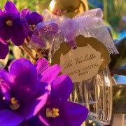 La Violette Goutal perfume - a fragrance for women 2001