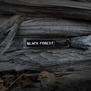 Photo by Engel desTodes