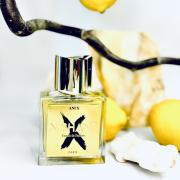 Photo by TheNoseNotes