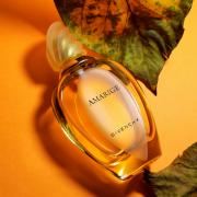 price difference Shelling Amarige Givenchy perfume - a fragrance for women 1991