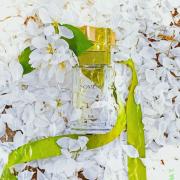 Photo by Лилу 28