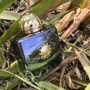 Figment Woman Amouage perfume - a fragrance for women 2017