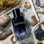 sauvage dior notes