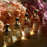 Aqua Allegoria Orange Soleia Guerlain Perfume - A Fragrance For Women And  Men 2020