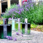 Pour Un Homme de Caron Parfum Caron cologne - a new