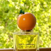 Dolce & best sale gabbana orange