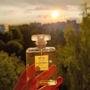 Chanel No 19 Poudre Chanel аромат — аромат для женщин 2011