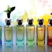 Un Jardin en Méditerranée Hermès perfume - a fragrance for women and ...