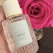 Santalum Chloé 香水- 一款2022年中性香水