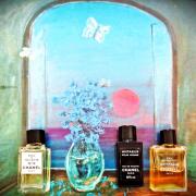 Antaeus Chanel cologne - a fragrance for men 1981