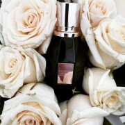 Flowerbomb Midnight Viktor&Rolf perfume - a fragrance for women 2019