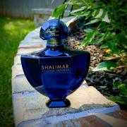 shalimar souffle intense eau de parfum