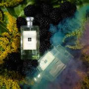 Blackberry amp Bay Jo Malone London perfume a fragrance