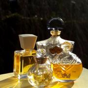 Y Yves Saint Laurent perfume - a fragrance for women 1964