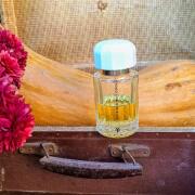 Invisible But Cool Ramon Monegal perfume - a new fragrance