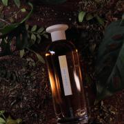 Soleil Thé Kenzo perfume - a new fragrance for women and men