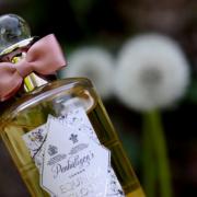 Equinox Bloom Penhaligon's perfume - a fragrance for