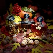 Photo by HelenRainbow