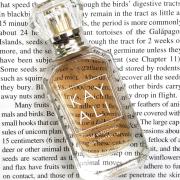 The Wedding Silk Santal | 36 Kayali Fragrances perfume - a