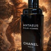 Photo by Falsterbolt