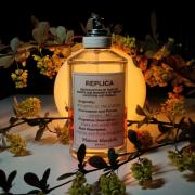 Whispers in the Library Maison Martin Margiela perfume - a
