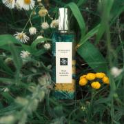Wild Achillea Jo Malone London perfume - a new fragrance for