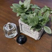 Photo by nguyenvuhungvuong