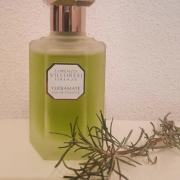 Yerbamate | Eau de Toilette | Lorenzo Villoresi