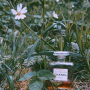 CHANEL Bois Des Iles / シャネル ボワ デ ジル ボワ デ ジル オードゥ パルファム（ヴァポリザター) – レ