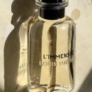 LOUIS VUITTON L'IMMENSITE – Rich and Luxe