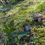 Photo by Louche_Bouche