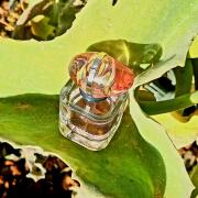 ★ My Way Nectar ★90ml★ケースなし★ 楽天市場】ジョルジオ アルマーニ マイウェイ ネクター
