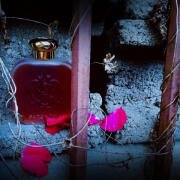 Patchouli Santa Maria Novella perfume - a fragrance for