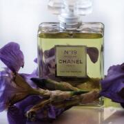 Chanel No 19 Poudre Chanel perfume - a fragrance for women 2011