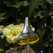 Idylle Guerlain perfume - a fragrance for women 2009