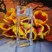 Photo by Ах,эта Катька