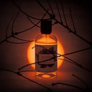 Photo by fabrice1977