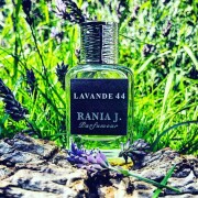 Lavande 44 Rania J perfume - a fragrance for women and men 2012