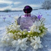 Pure Poison Dior 香水 - 2004年の女性用 フレグランス