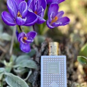 Lavande Romaine Perris Monte Carlo perfume - a fragrance for women