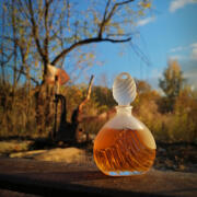 テッドラピドス TED LAPIDUS CREATION 香水 クレアシオン Creation Ted Lapidus perfume - a fragrance for women 2011