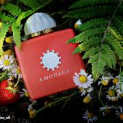 amouage bracken fragrantica