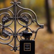 Coco Noir Chanel 香水- 一款2012年女用香水