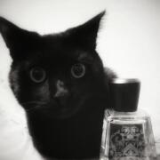 IF by R.K. Frapin perfume - a fragrance for women and men 2019