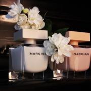 Narciso Narciso Rodriguez perfume - a fragrance for women 2014