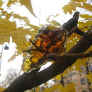 Photo by Vibia Sabina