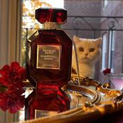 Bombshell Midnight Victoria's Secret perfume - a