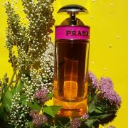 Prada Candy Prada perfume a fragrance for women 2011